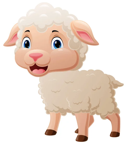 Vector Illustration Cute Baby Sheep Cartoon White Background — Stockvektor