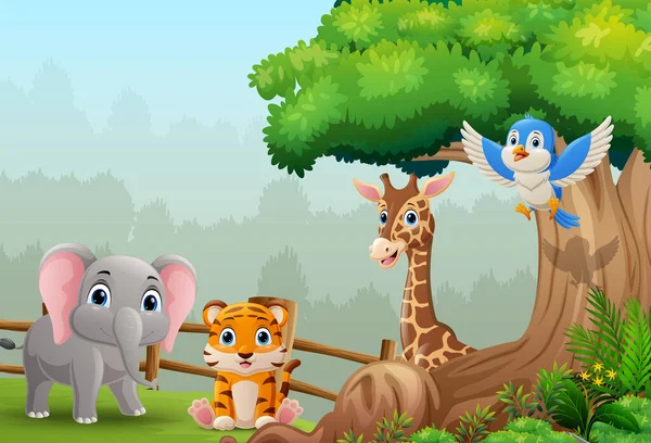 Ilustración Dibujos Animados Animales Salvajes Selva — Vector de stock
