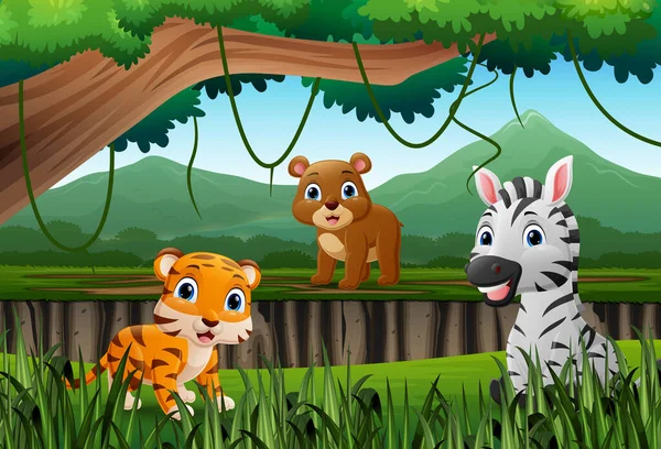 Ilustração Dos Desenhos Animados Animais Selvagens Selva —  Vetores de Stock