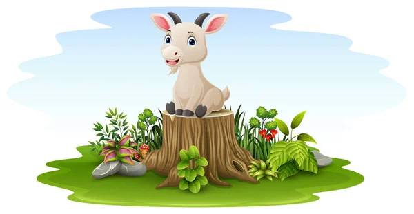 stock vector Vector illustration of Cartoon baby goat sitting on tree stump