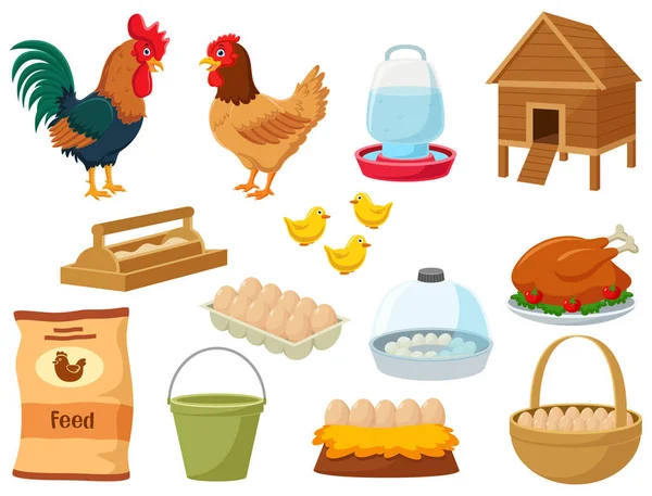 Vector Illustration Set Poultry Farm Cartoon Elements — Stock Vector