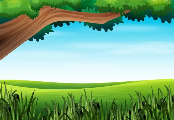 Векторная Иллюстрация Фона Природного Ландшафта Деревьями Лугами Лицензионные Стоковые Иллюстрации
