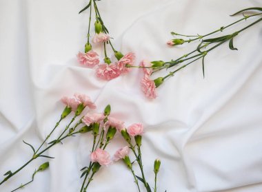 Photo of a pink carnation bouquet isolated over white background