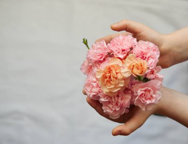 Photo of a pink and yellow carnation bouquet in the hands of a child isolated over white background