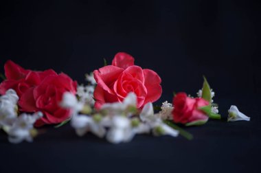 Siyah arka planda güller ve mürver çiçekleri