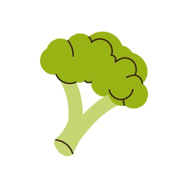 Taze yeşil sebze brokoli, sağlıklı doğal vitamin besin malzemeleri, yeşil brokoli, sağlıklı doğal lahana ağacı, beyaz arka plan düz vektör çizimine izole edilmiş çiğ sebze..