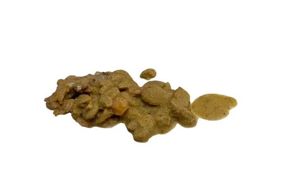 Close up of fresh cat vomit with hairball on white background. dog pooping water closeup, dog excrement with clipping path isolated on white background. Dog shit. 