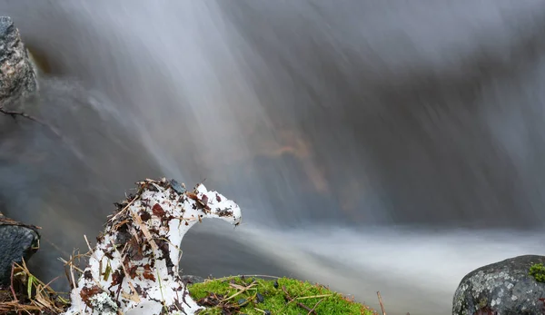 Snow figure on riverbank