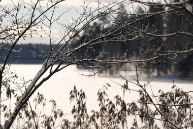 Snowy landscape by frozen lake 