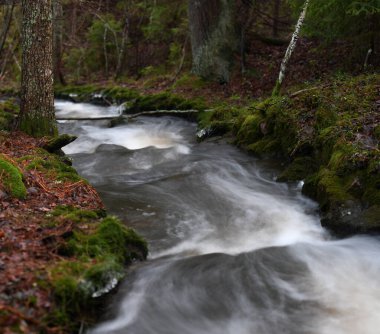 Beautiful stream in the forest in Finland