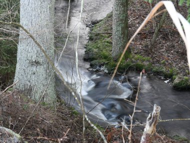 Beautiful stream in the forest in Finland