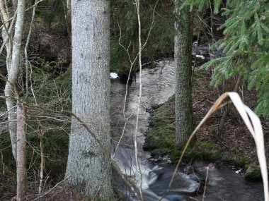 Beautiful stream in the forest in Finland