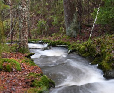 Beautiful stream in the forest in Finland
