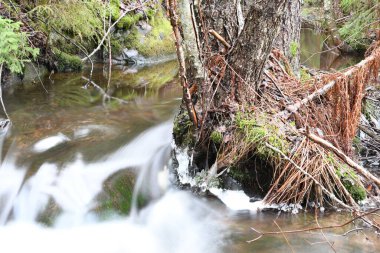 River flowing with stones and moss