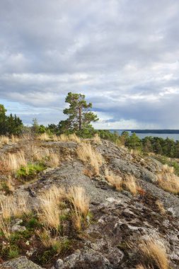 Landscape in the Archipelago in Finland