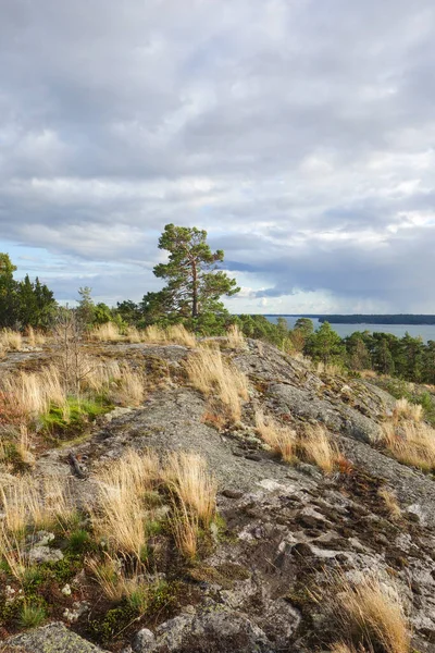 Landscape in the Archipelago in Finland