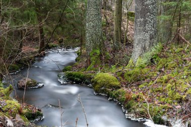Waterfall in the forest in winter