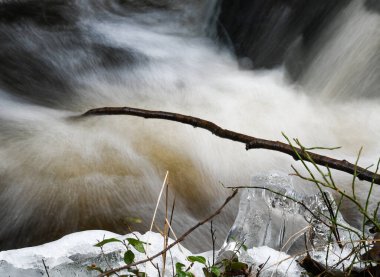 Stream in the nature in winter