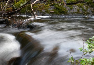 Landscape of stream in the forest in winter