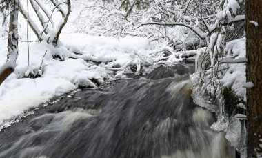Stream with ice and snow in the forest in winter