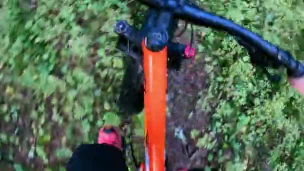 Mujer Mediana Edad Montando Una Bicicleta Neumáticos Gordos Bosque Día — Vídeo de stock