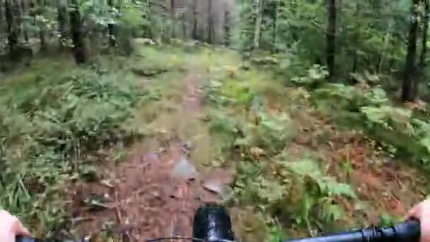 雨の日に森で脂肪タイヤバイクに乗っている中年女性 — ストック動画