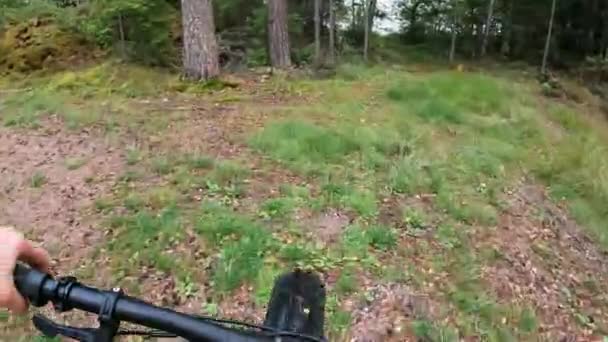 森でマウンテンバイクに乗る中年女性 — ストック動画