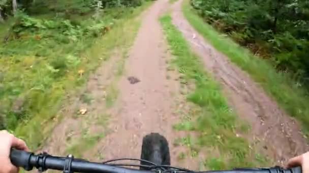 Kobieta Średnim Wieku Jeździ Rowerze Górskim Lesie — Wideo stockowe