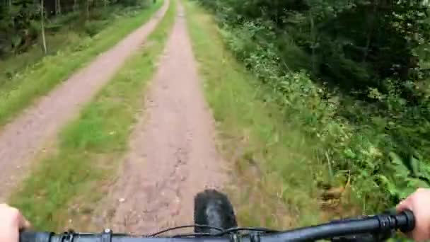 Frau Mittleren Alters Fährt Mountainbike Wald — Stockvideo