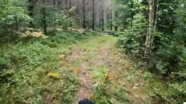 Ormanda Dağ Bisikleti Süren Orta Yaşlı Bir Kadın — Stok video