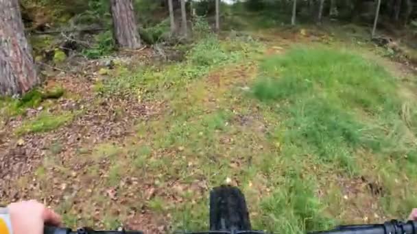 Mujer Mediana Edad Montando Una Bicicleta Neumáticos Gordos Bosque — Vídeo de stock