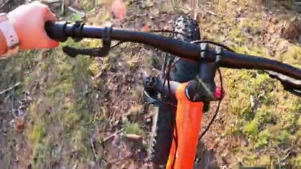 Mujer Mediana Edad Montando Una Bicicleta Neumáticos Gordos Bosque — Vídeos de Stock