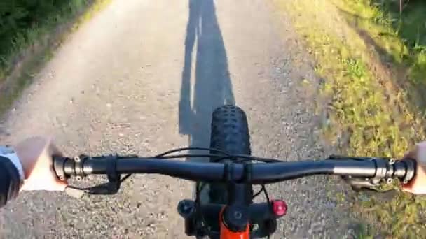 自然の中で自転車に乗る中年女性 — ストック動画