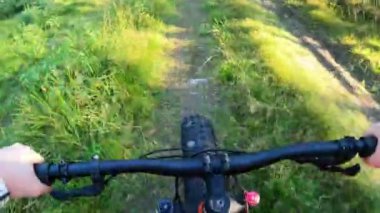 Ormanda dağ bisikleti, geriye doğru.