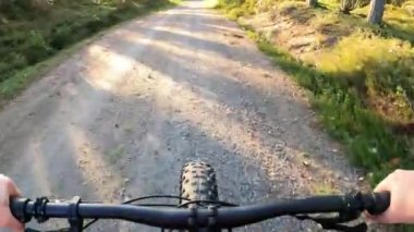 Doğada şişman bir bisiklet süren orta yaşlı bir kadın. 