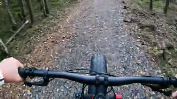 Mujer Mediana Edad Montando Una Bicicleta Neumáticos Gordos Bosque — Vídeos de Stock