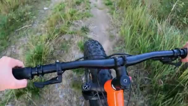 Middle Aged Woman Riding Fat Tire Bike Forest — Stock Video