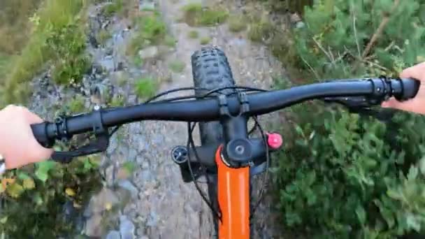 Donna Mezza Età Sella Pneumatico Grasso Bicicletta Nella Foresta — Video Stock