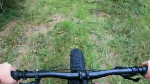 Medelålders Kvinna Rider Fet Däckcykel Skogen — Stockvideo