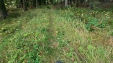 Ormanda bisiklet sürüyorum.