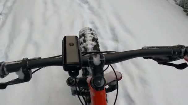 脂肪バイクで雪の中で自転車に乗る — ストック動画