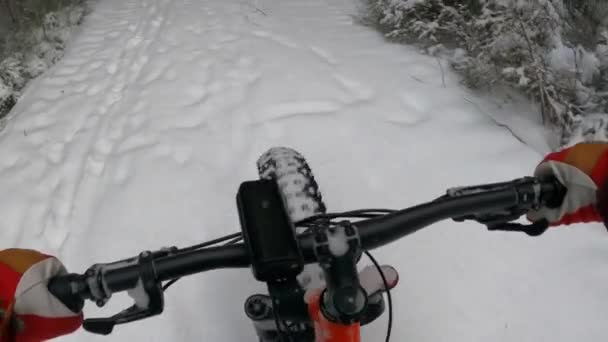 Biking Snow Fat Bike — Stock Video