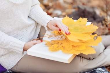 Sonbahar sarısı yaprakları ve yakın plan bir kızın elinde bir kitap. Yüksek kalite fotoğraf.