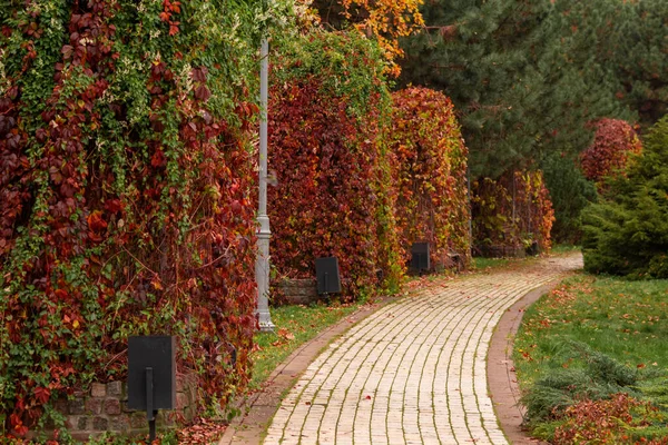 Yeşil biçilmiş çimleri ve renkli çiçek yataklarıyla İngiliz tarzında güzel bir bahçe manzarası. Sonbahar ağaçları boyunca yol ve tuzaklar Yüksek kaliteli fotoğraf