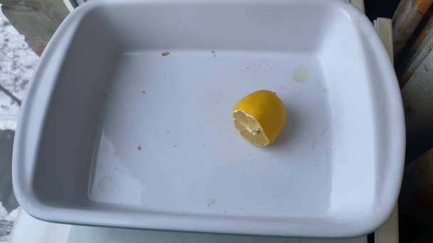 Piece Lemon Lies Large Square Bowl High Quality Footage — Vídeo de Stock