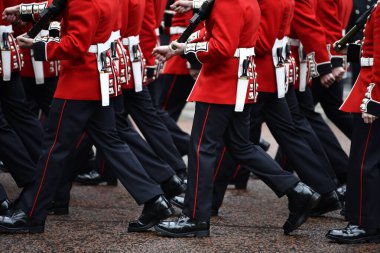 Londra, Birleşik Krallık-15 Haziran 2024: Londra Renkli Süvari Birliği