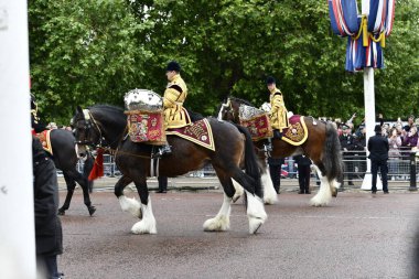 Londra, Birleşik Krallık-15 Haziran 2024: Londra Renkli Süvari Birliği