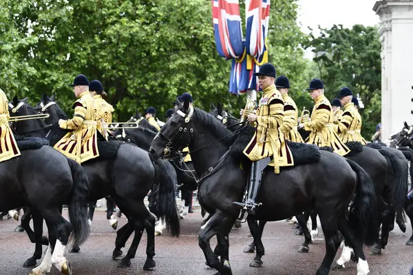 Londra, Birleşik Krallık-15 Haziran 2024: Londra Renkli Süvari Birliği