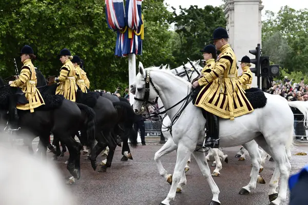 Londra, Birleşik Krallık-15 Haziran 2024: Londra Renkli Süvari Birliği