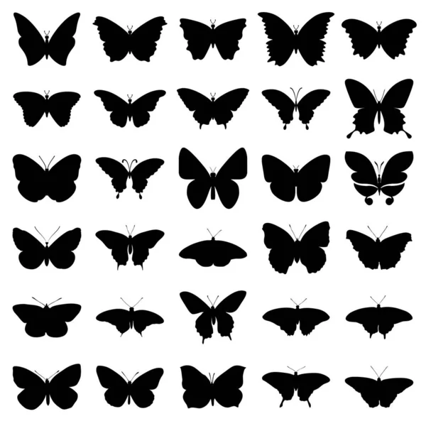 Vektorová Sada Černých Siluet Motýlů Bílém Pozadí Vektoru — Stockový vektor